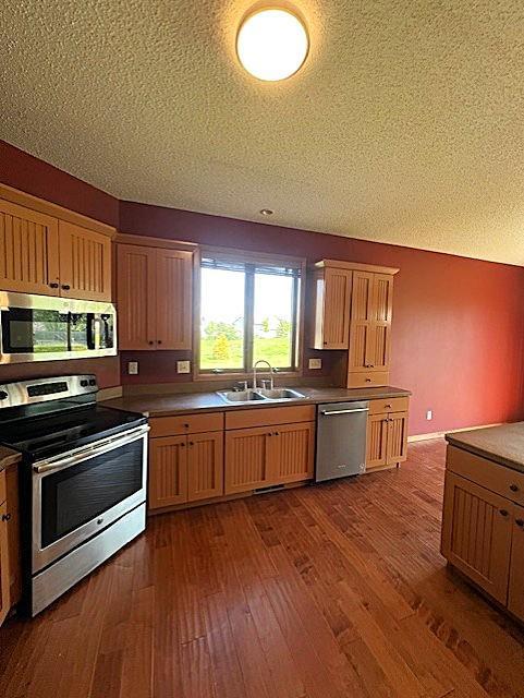 9521 Dunes Court, Cottage Grove, Minnesota image 6