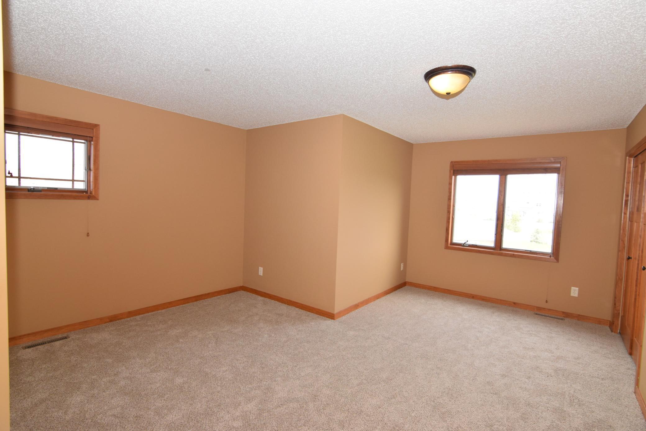 9521 Dunes Court, Cottage Grove, Minnesota image 18
