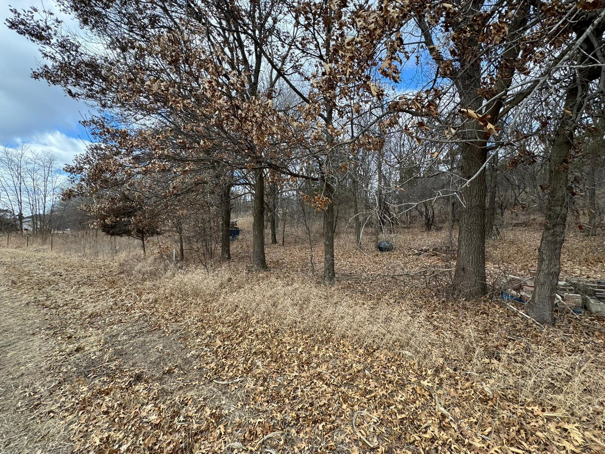 WXXXX Sand Ridge Road, Pepin, Wisconsin image 4