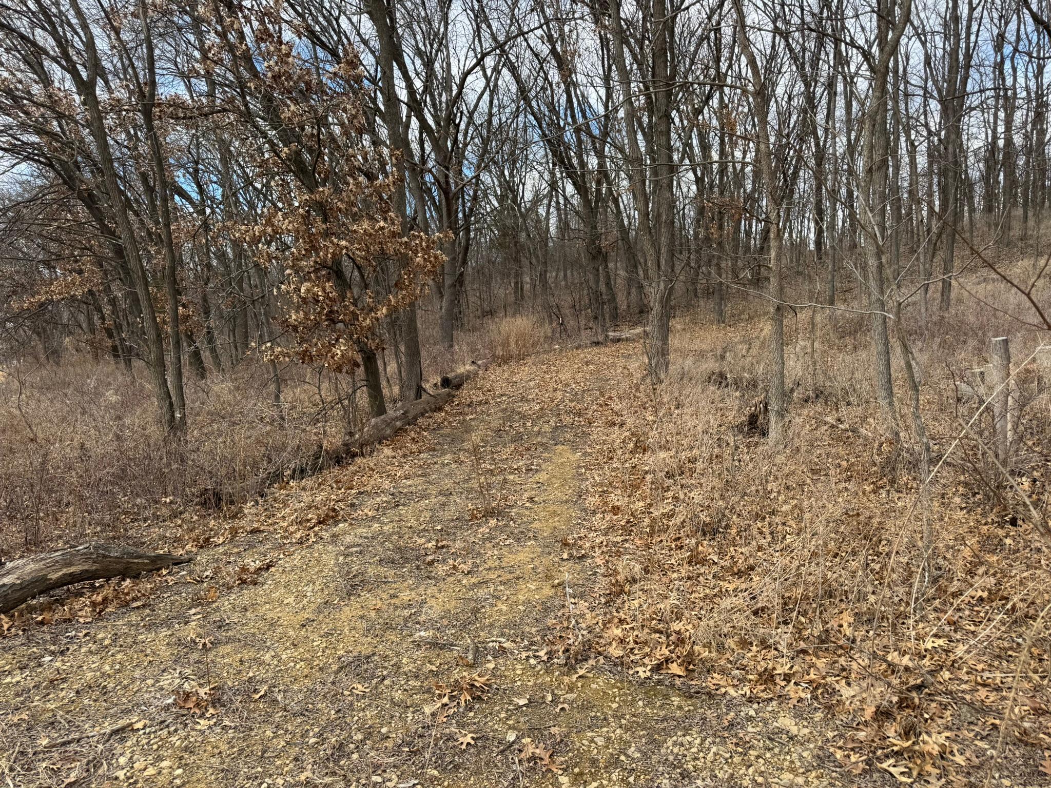 WXXXX Sand Ridge Road, Pepin, Wisconsin image 13