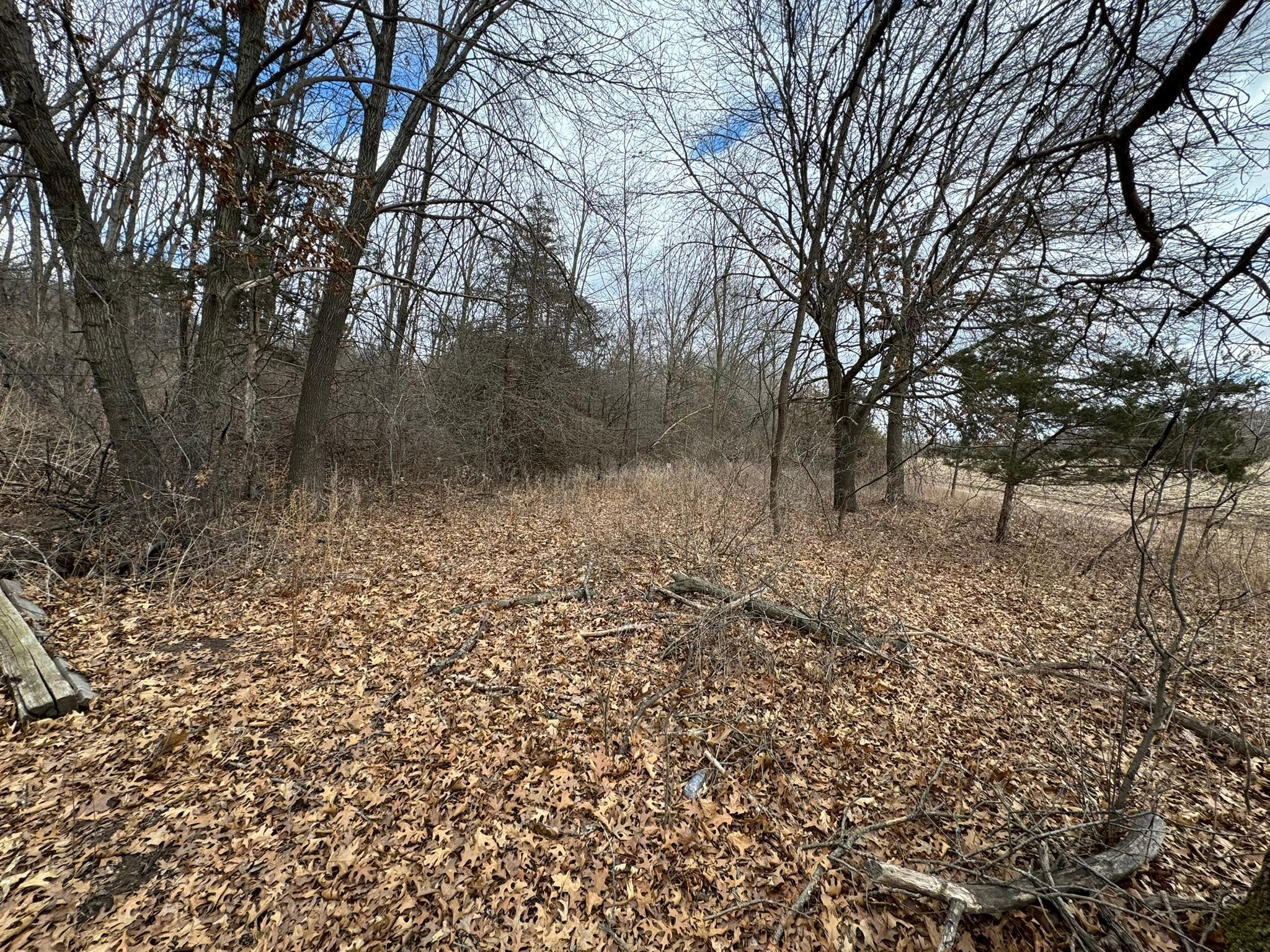 WXXXX Sand Ridge Road, Pepin, Wisconsin image 9