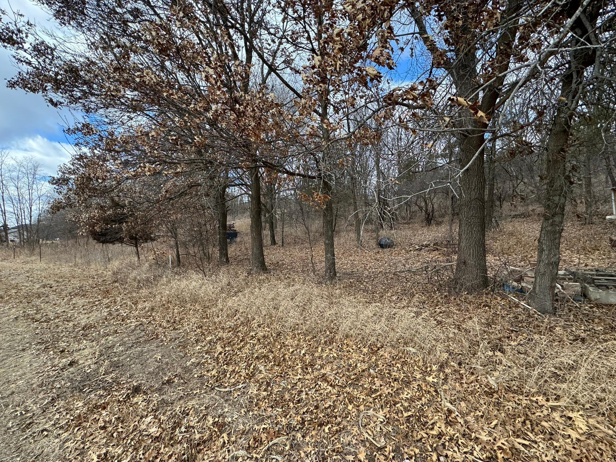 WXXXX Sand Ridge Road, Pepin, Wisconsin image 5