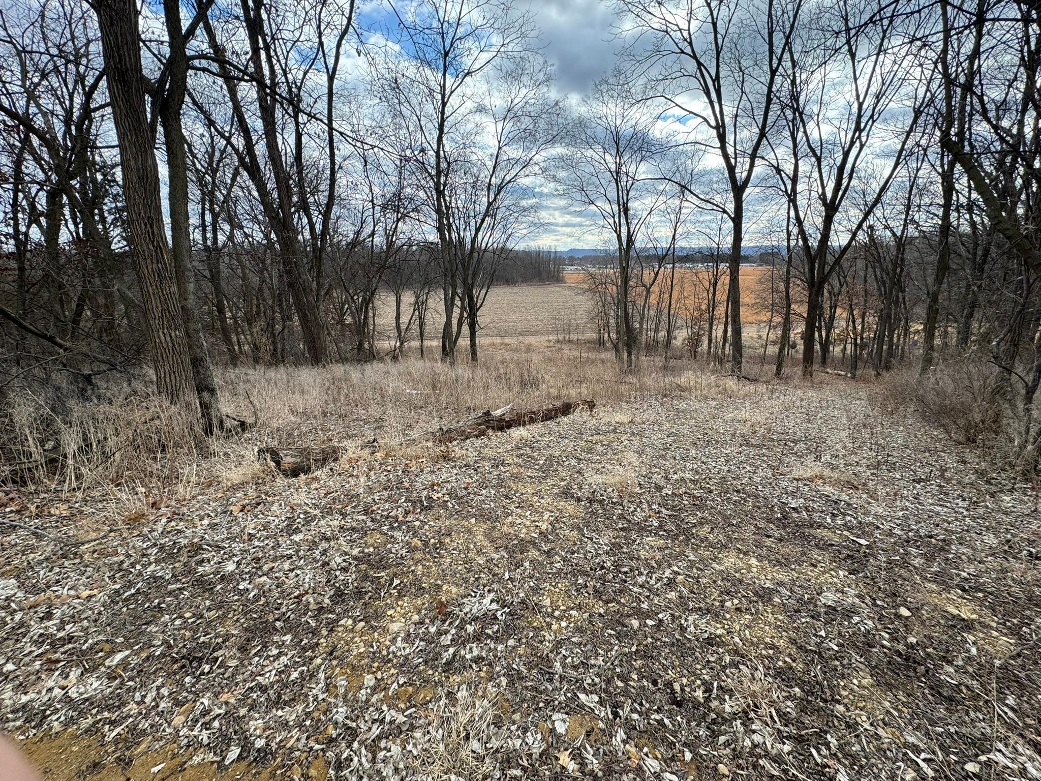 WXXXX Sand Ridge Road, Pepin, Wisconsin image 3