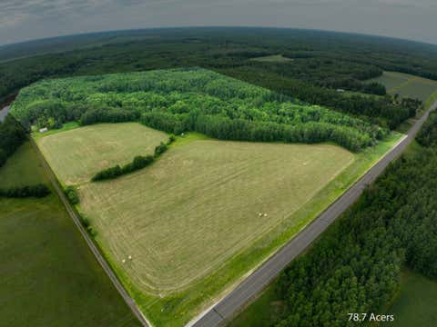 Vacant Land For Sale - TBD County Rd 79<br/> Littlefork, MN 56653