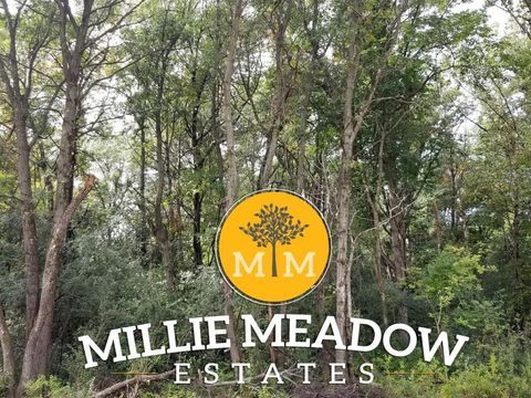 Vacant Land For Sale - 4008 Millie Meadow Drive<br/> Rochester, MN 55902