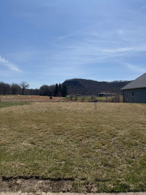 Vacant Land For Sale - 565 Cedar Drive<br/> Wabasha County, Lake City, MN 55041