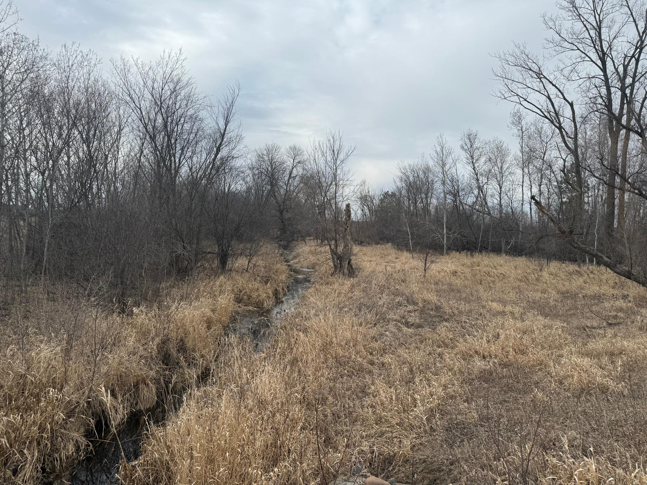 XXX County Road 7, Princeton, Minnesota image 3