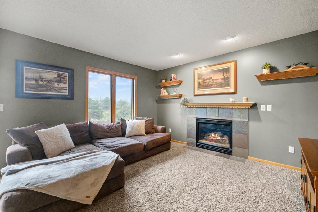 23606 133rd Avenue, Rogers, Minnesota image 18