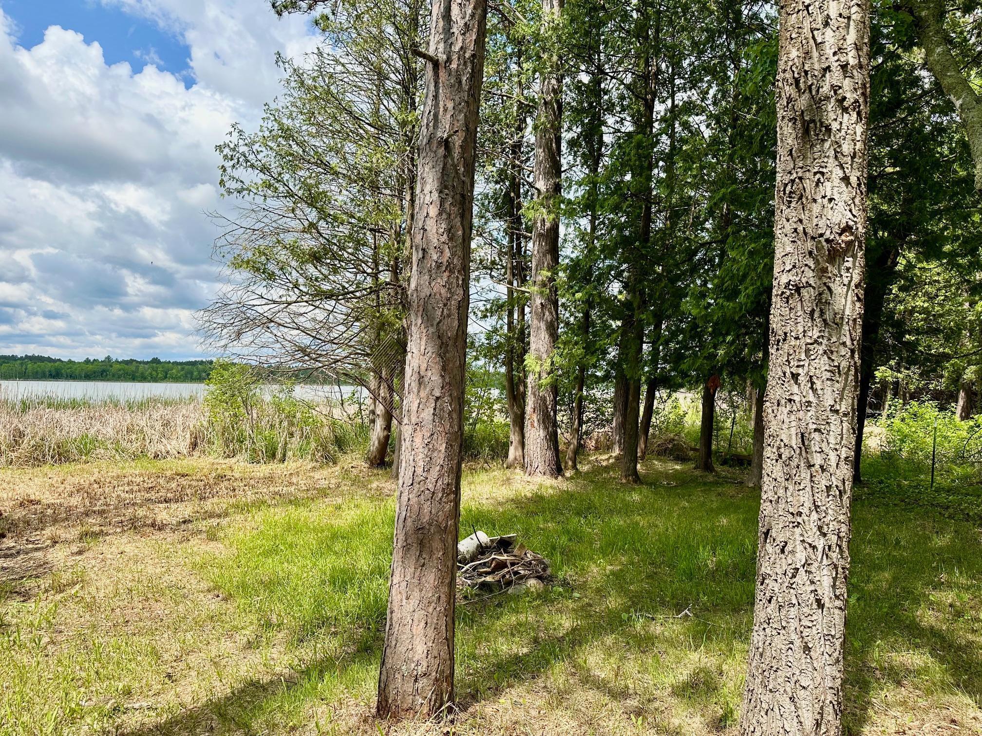 TBD Little Cowhorn Public Access Rd., Grand Rapids, Minnesota image 12