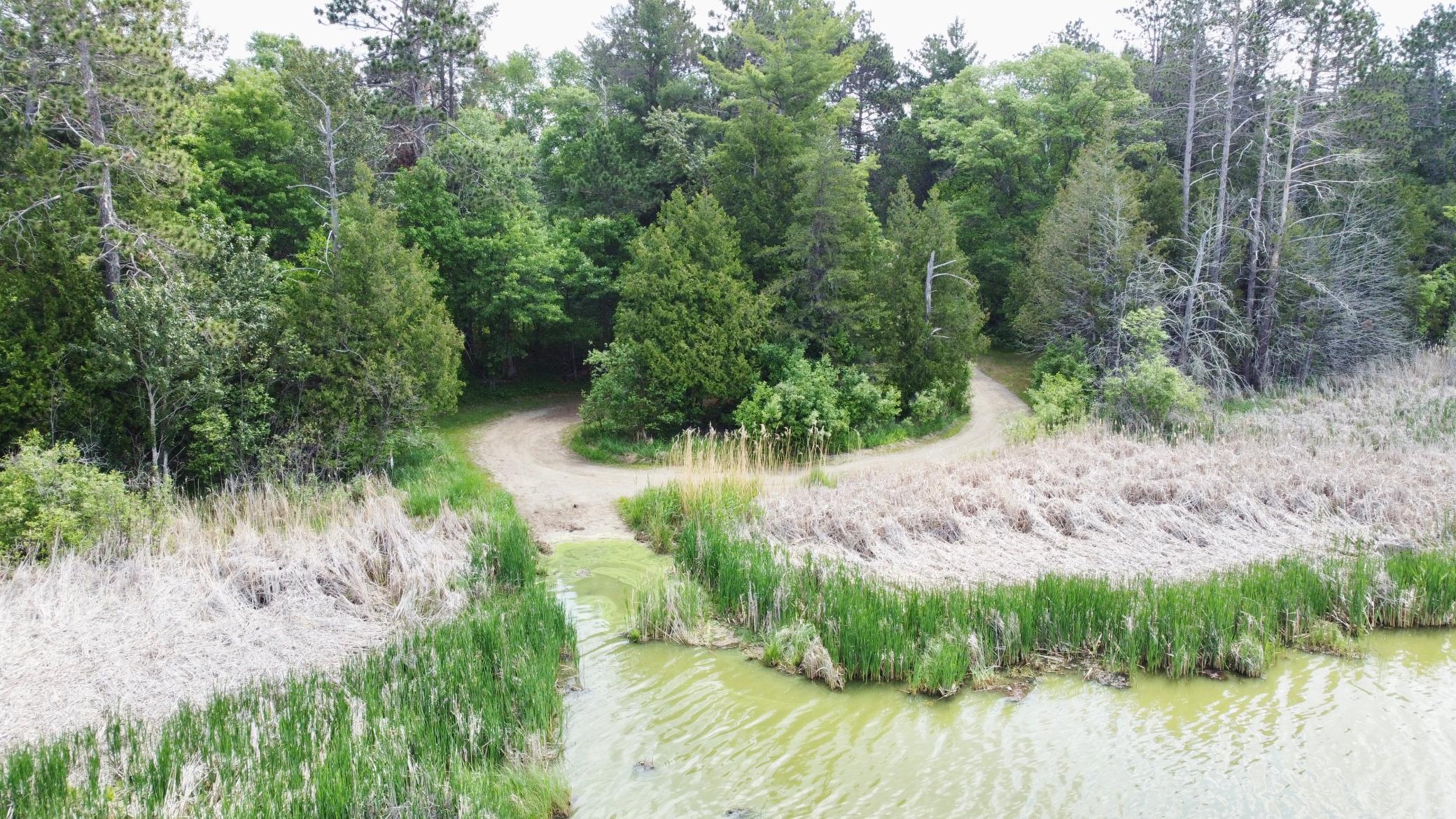 TBD Little Cowhorn Public Access Rd., Grand Rapids, Minnesota image 14