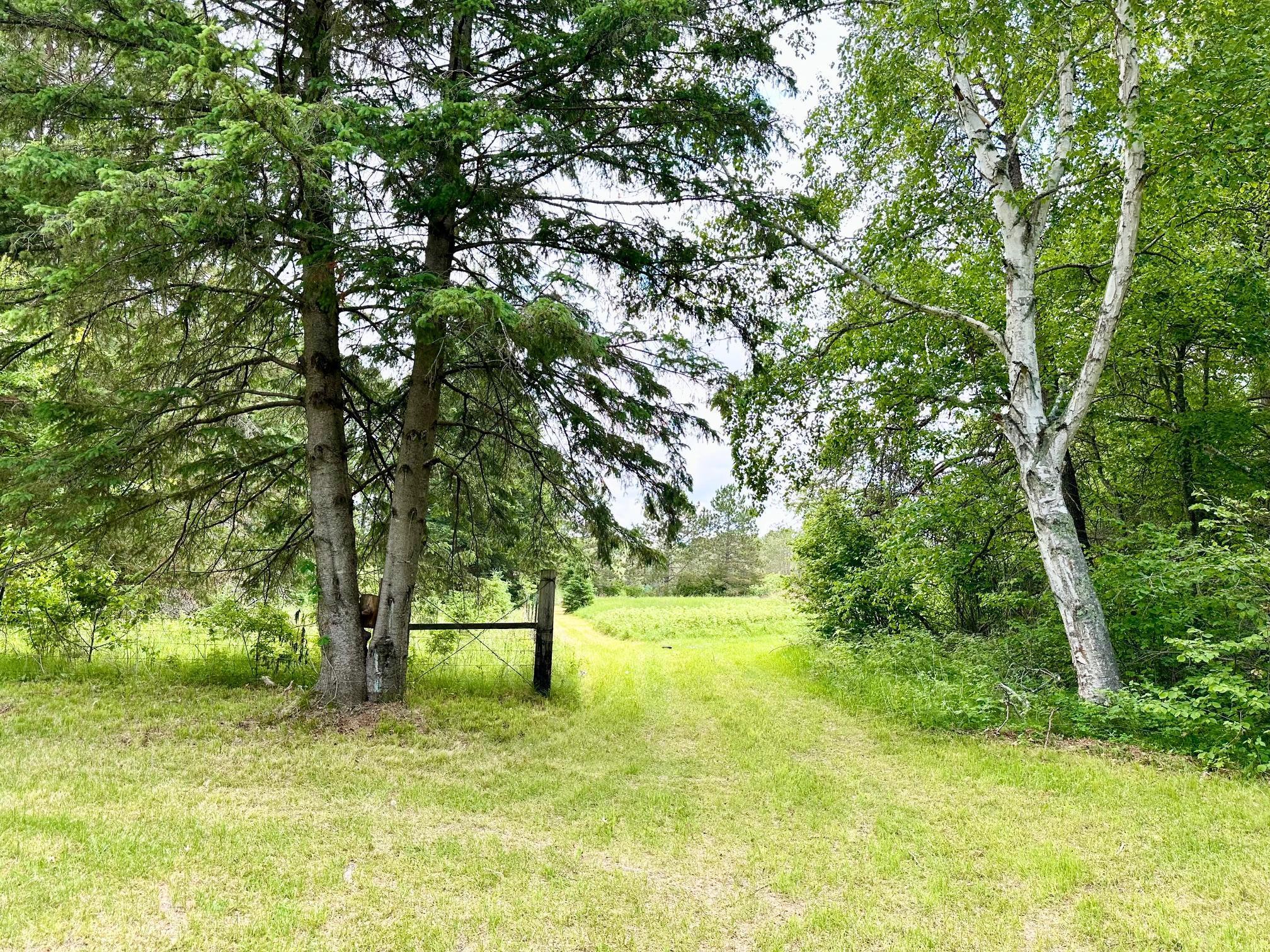 TBD Little Cowhorn Public Access Rd., Grand Rapids, Minnesota image 9