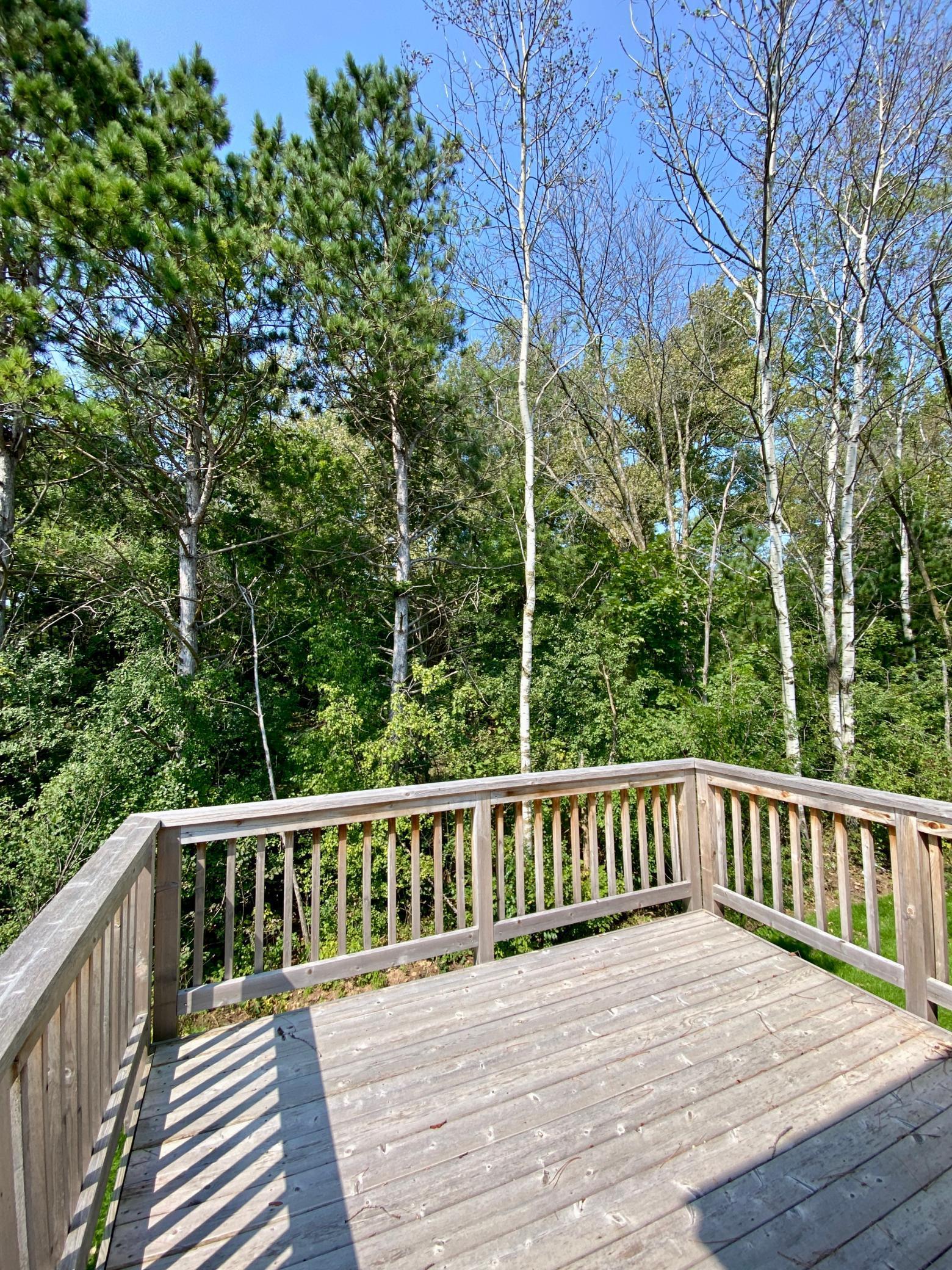 7829 Ava Trail, Inver Grove Heights, Minnesota image 2