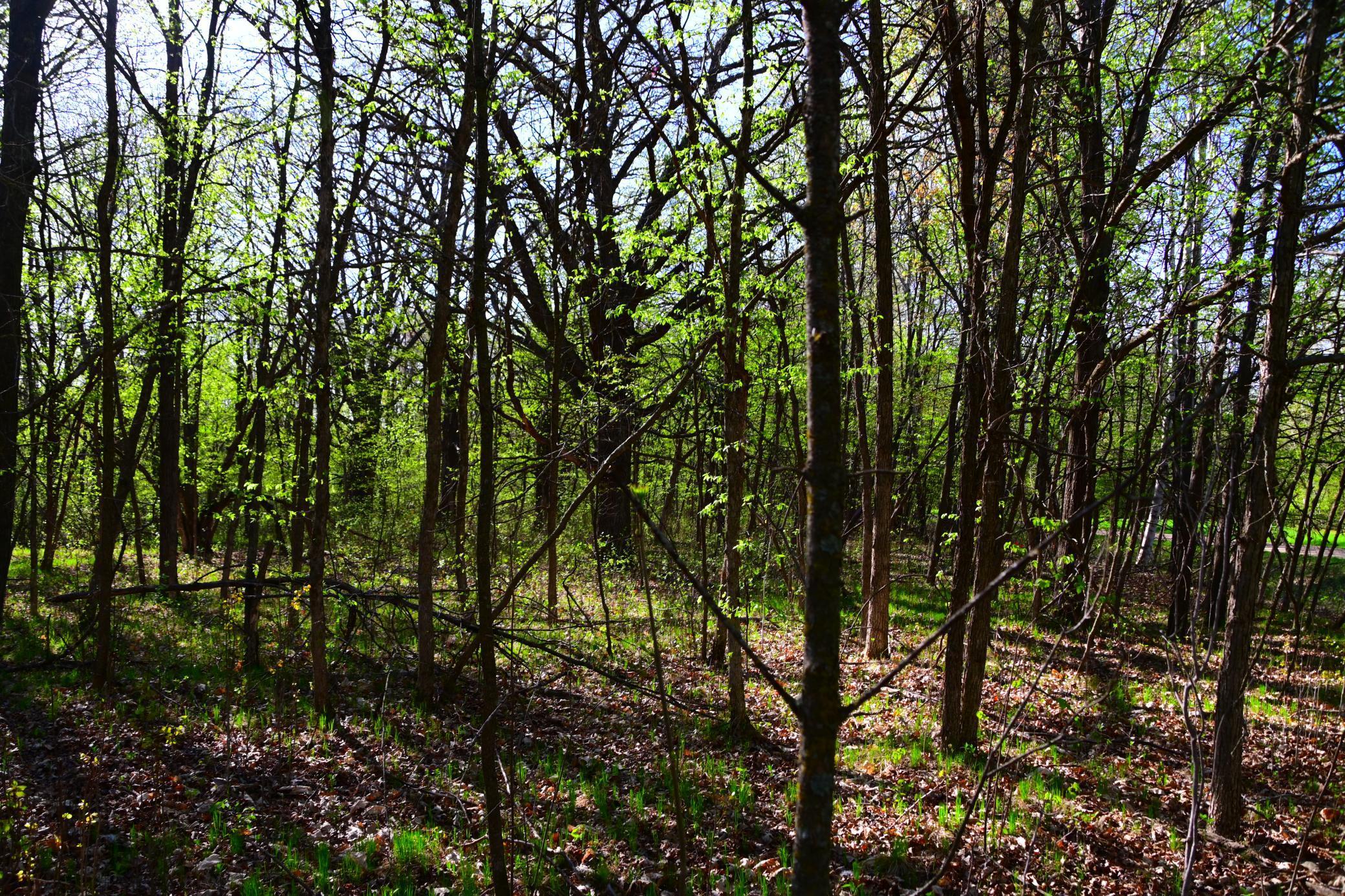 XXX Orchard Drive, Browerville, Minnesota image 3