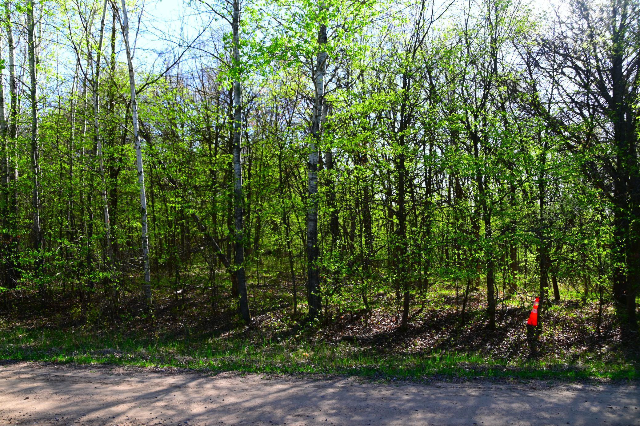 XXX Orchard Drive, Browerville, Minnesota image 1