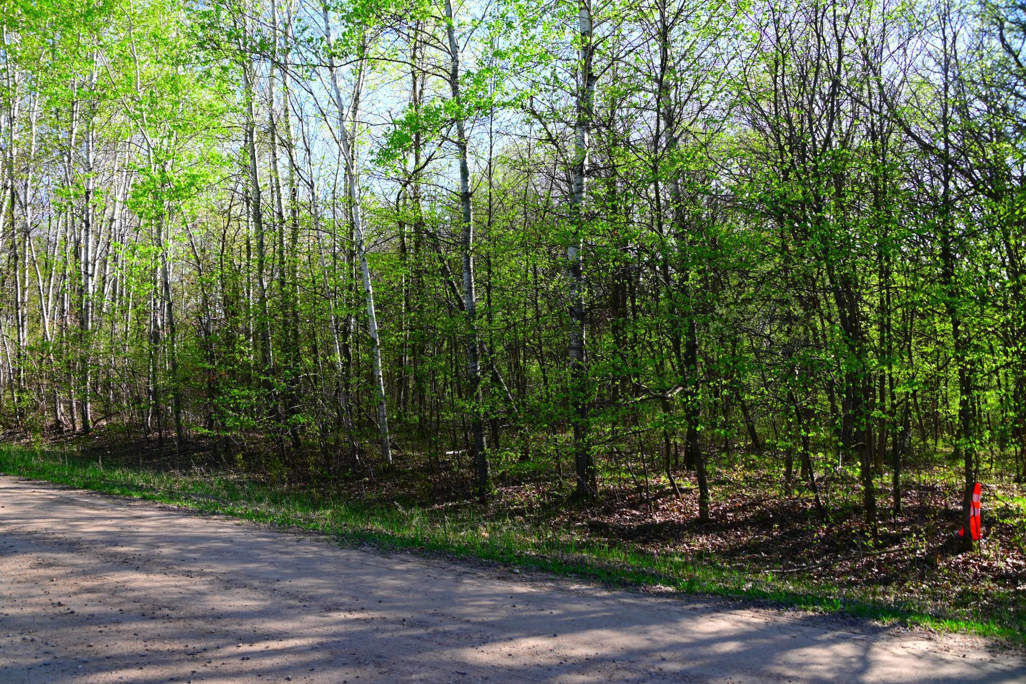XXX Orchard Drive, Browerville, Minnesota image 2