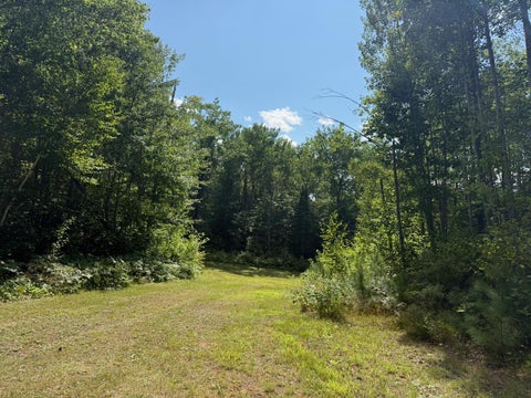 Vacant Land For Sale - 4464 Highway 23<br/> Carlton County, Holyoke, MN 55749