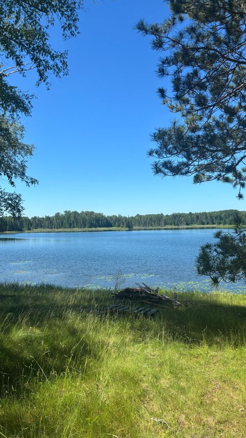 Vacant Land For Sale - 37363 Amen Lake Road<br/> Deer River, MN 56636