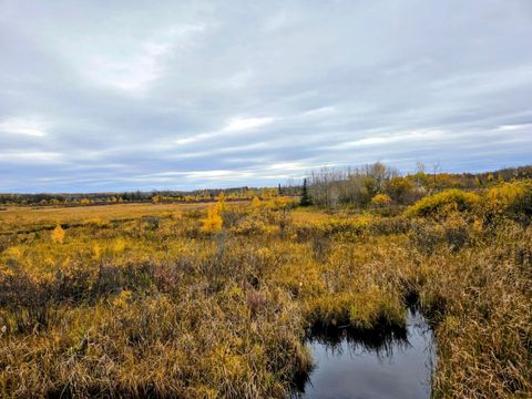 Vacant Land For Sale - 111 Atv Snowmobile Trail Bridge<br/> Blackduck, MN 56630
