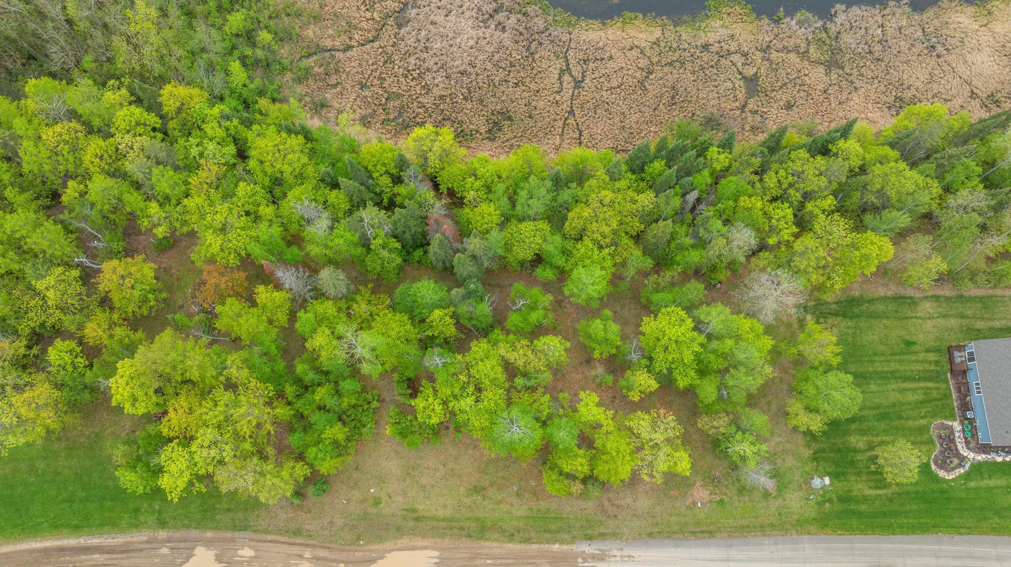 8763 Kabekona Ridge Drive, Walker, Minnesota image 4