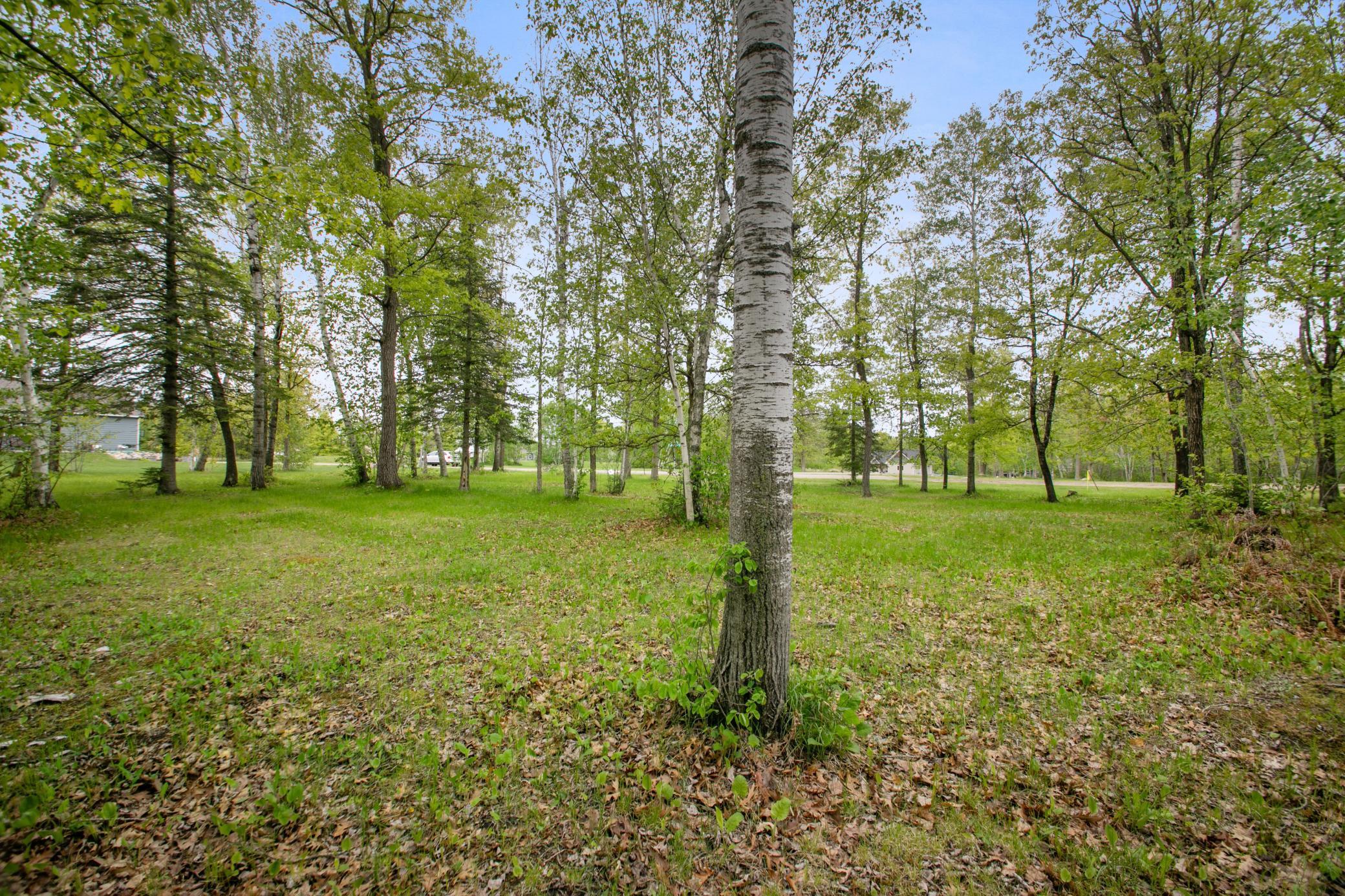 8763 Kabekona Ridge Drive, Walker, Minnesota image 13