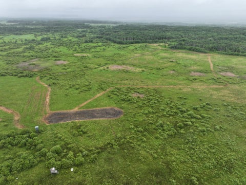 Vacant Land For Sale - TBD 350th Ave Sw<br/> Lancaster, MN 56735