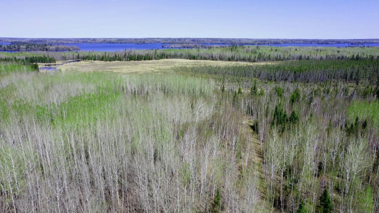 TBD Hwy. 115, Tower, Minnesota image 1