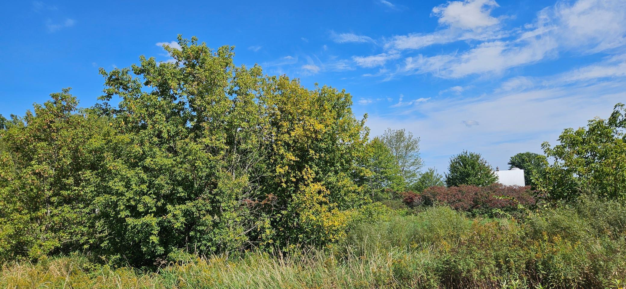 XXXX Hwy 70, Rock Creek, Minnesota image 3