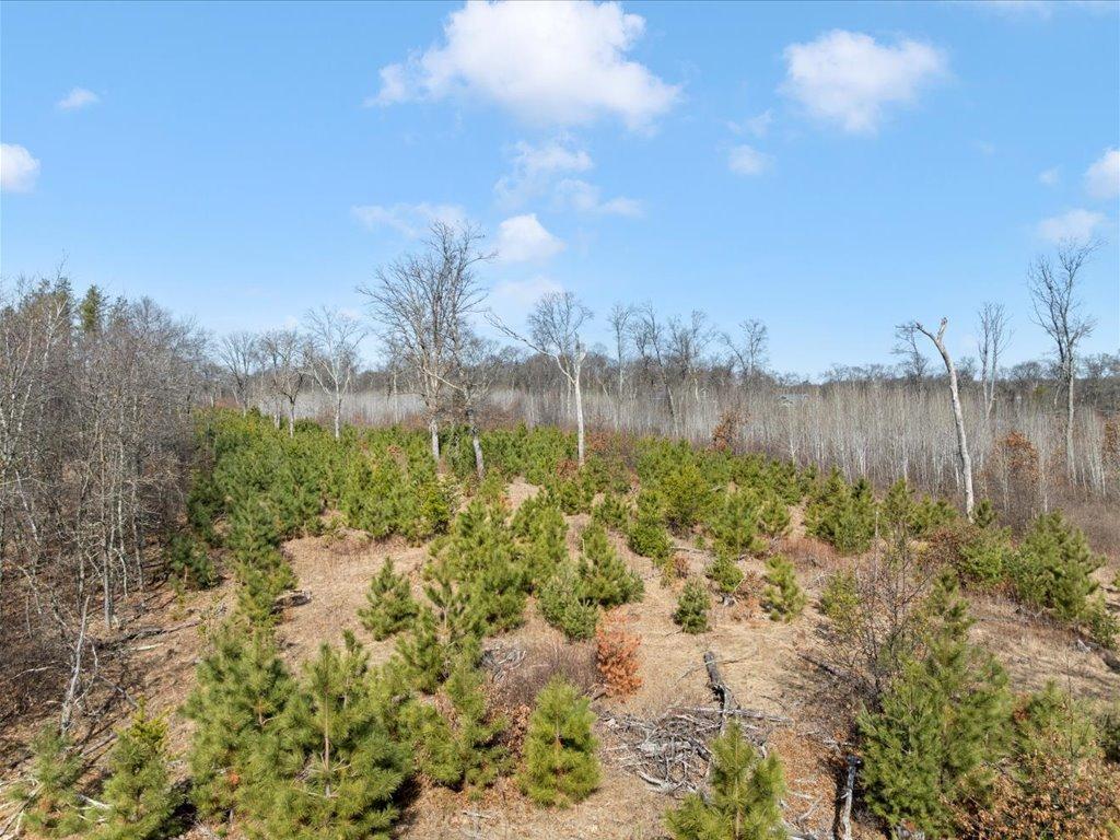 1587 SW Stallion Road, Pillager, Minnesota image 29