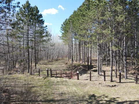 Vacant Land For Sale - TBD (164.21AC) Maple Grove Road<br/> Cloquet, MN 55720