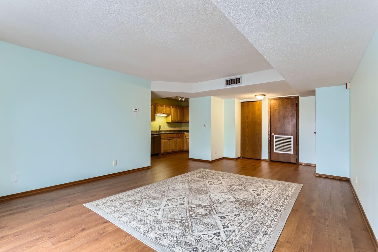 311 Pleasant Avenue #402, Saint Paul, Minnesota image 4