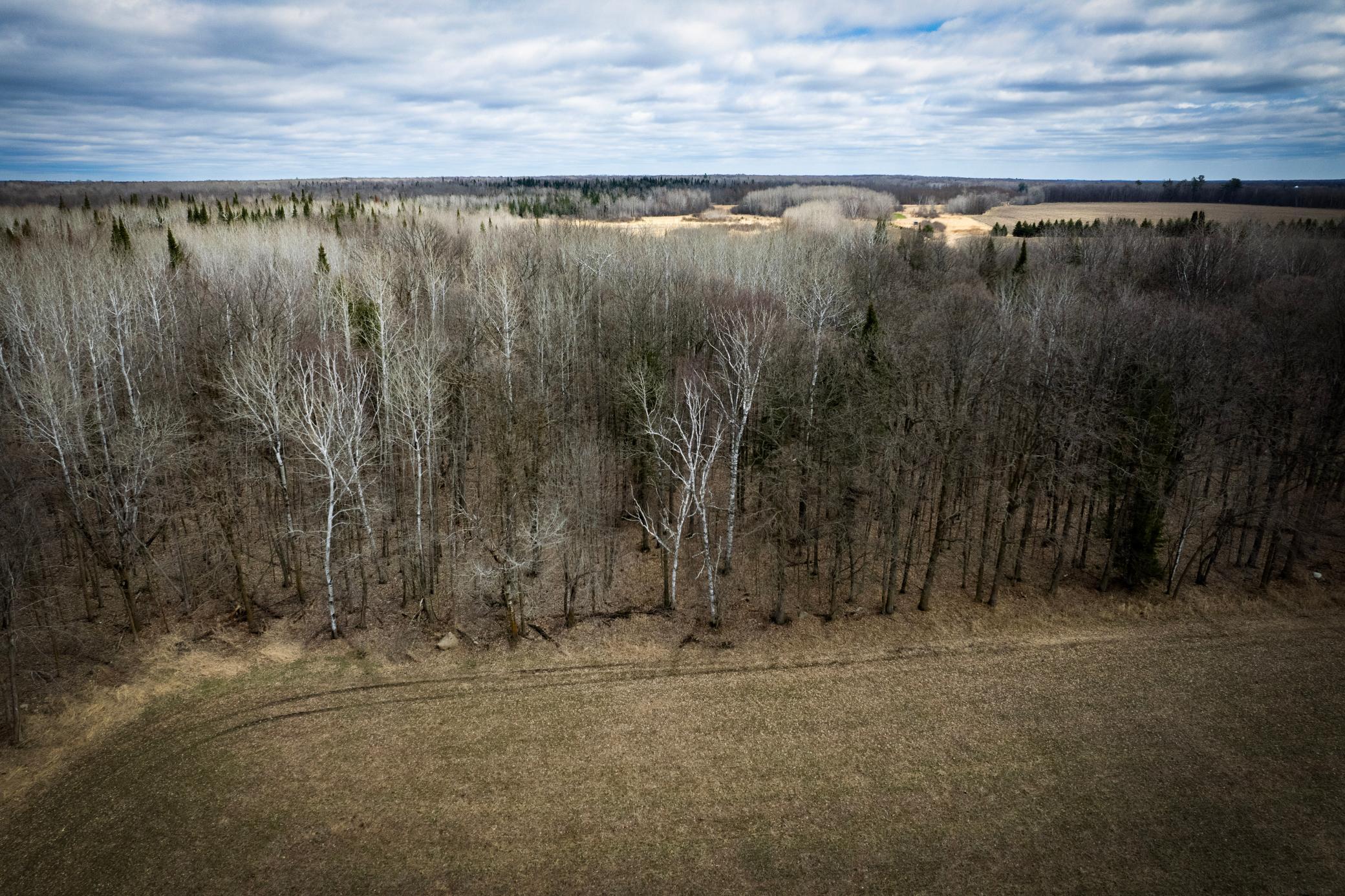 TBD 539th Avenue, Menahga, Minnesota image 34