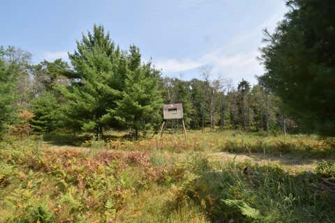Vacant Land For Sale - LOT 1 Pleasant Acres Trail<br/> Danbury, WI 54830