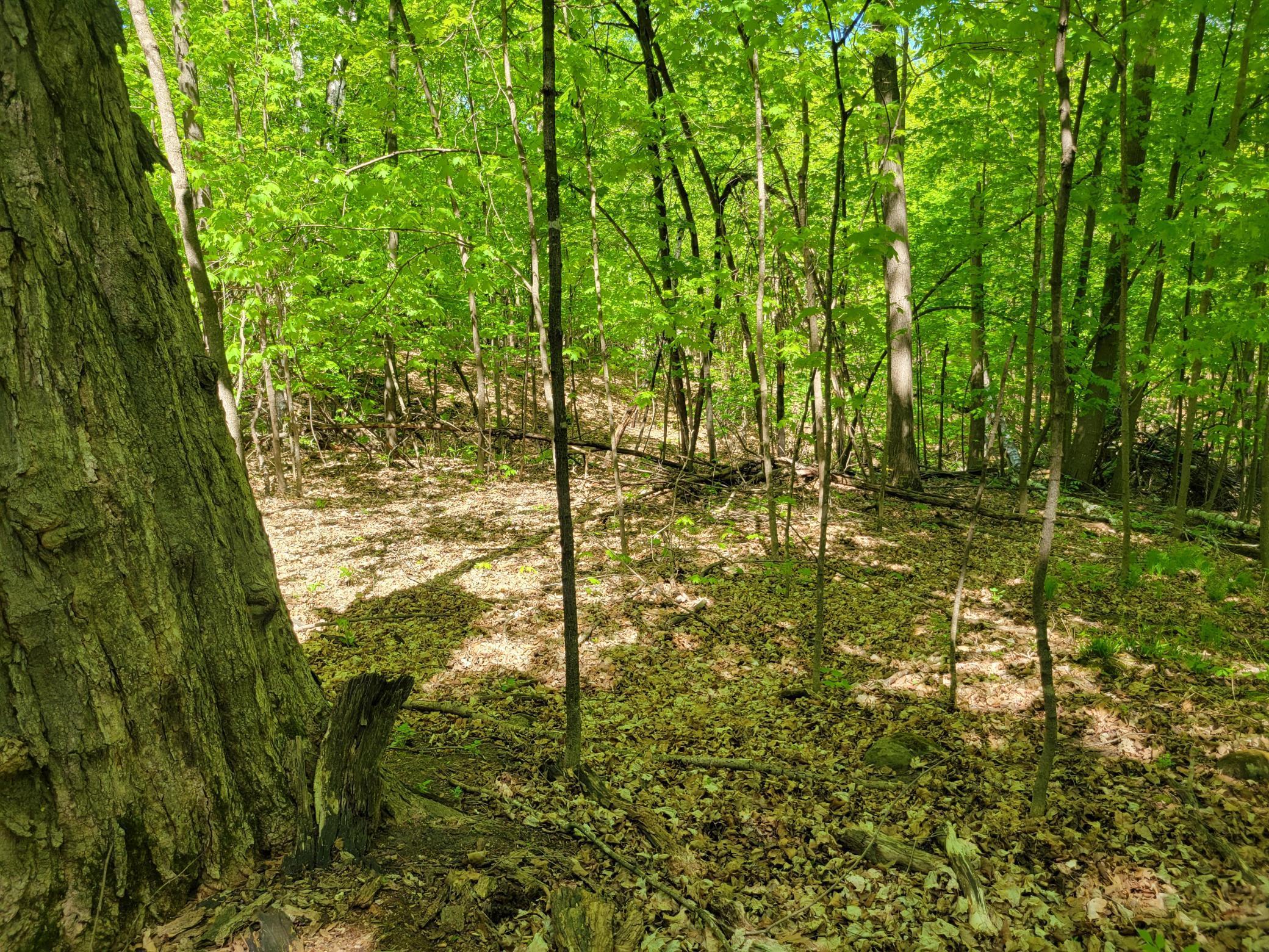 TBD 125th Avenue, Turtle Lake, Wisconsin image 9