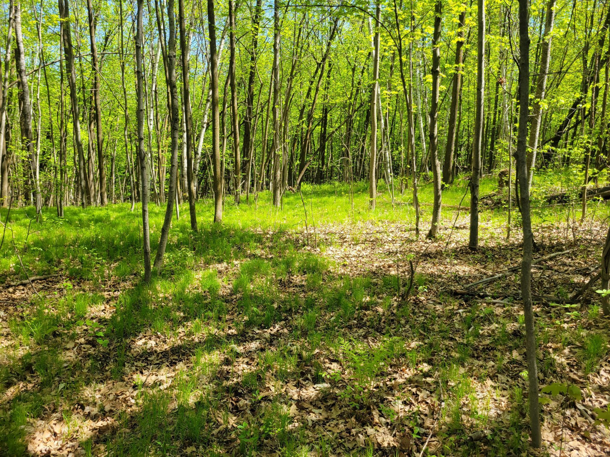 TBD 125th Avenue, Turtle Lake, Wisconsin image 4