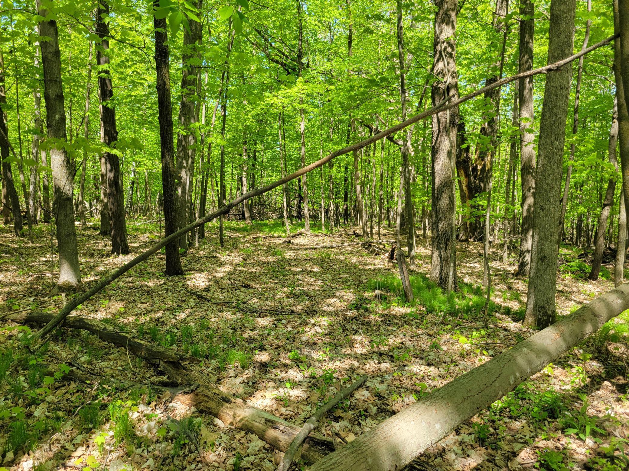 TBD 125th Avenue, Turtle Lake, Wisconsin image 5