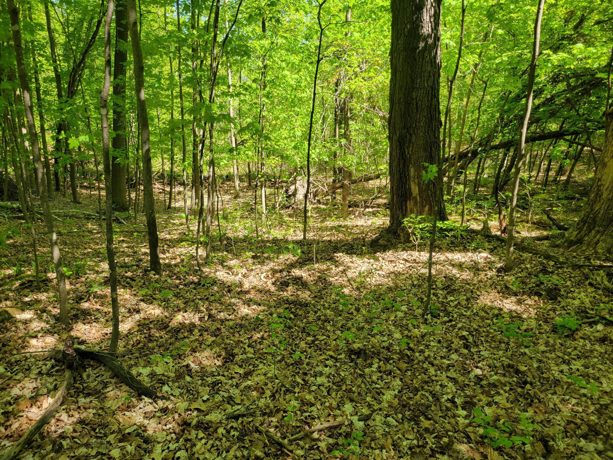 TBD 125th Avenue, Turtle Lake, Wisconsin image 8