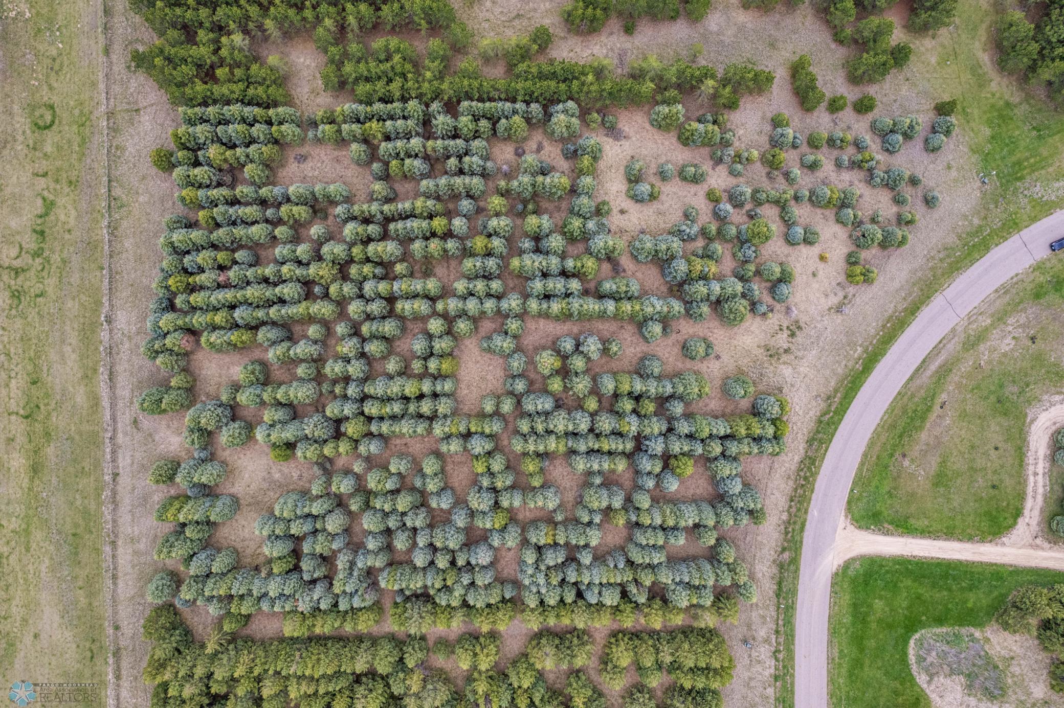 TBD Evergreen Terrace Road, Lake Park, Minnesota image 7
