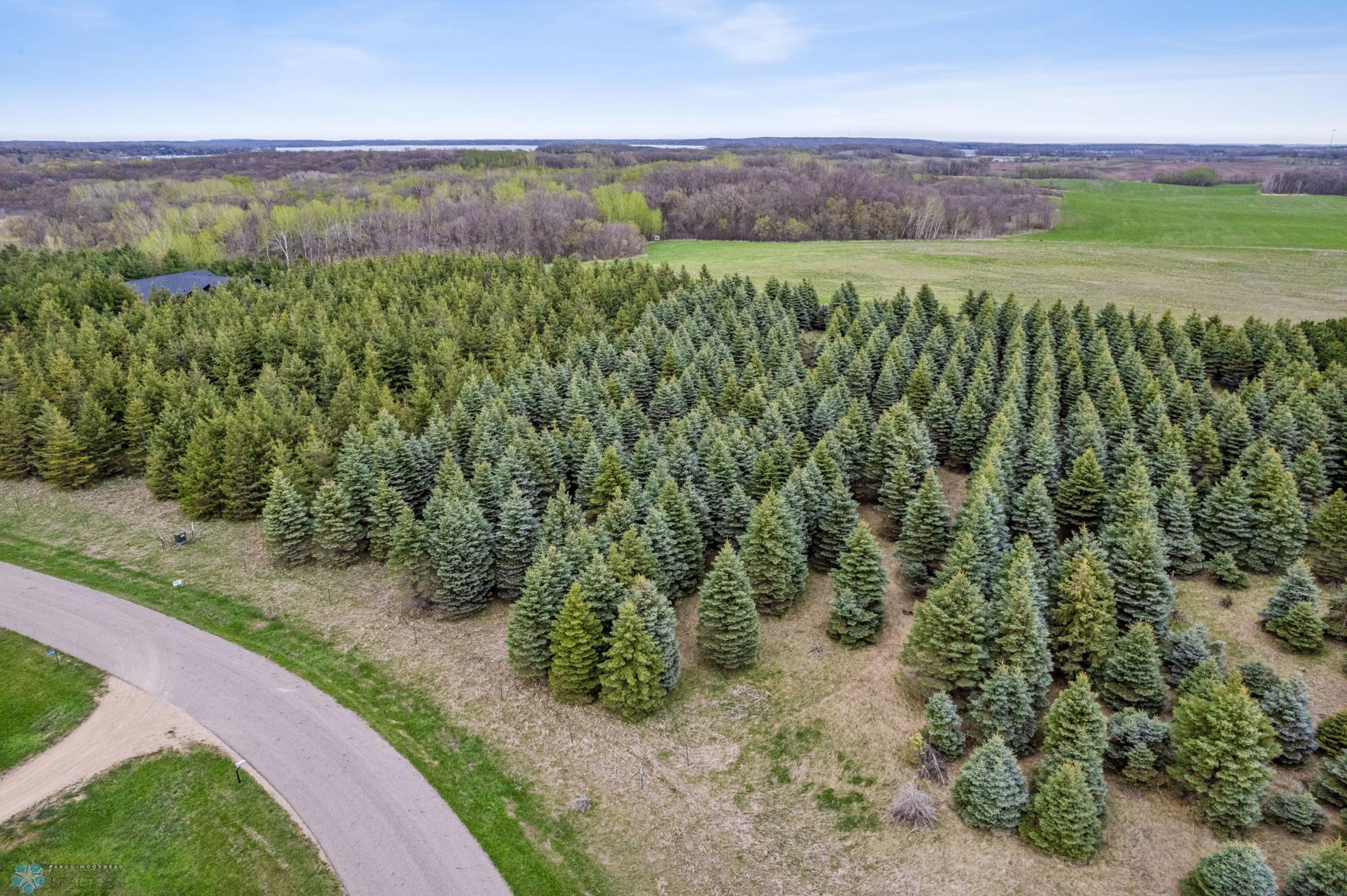 TBD Evergreen Terrace Road, Lake Park, Minnesota image 1