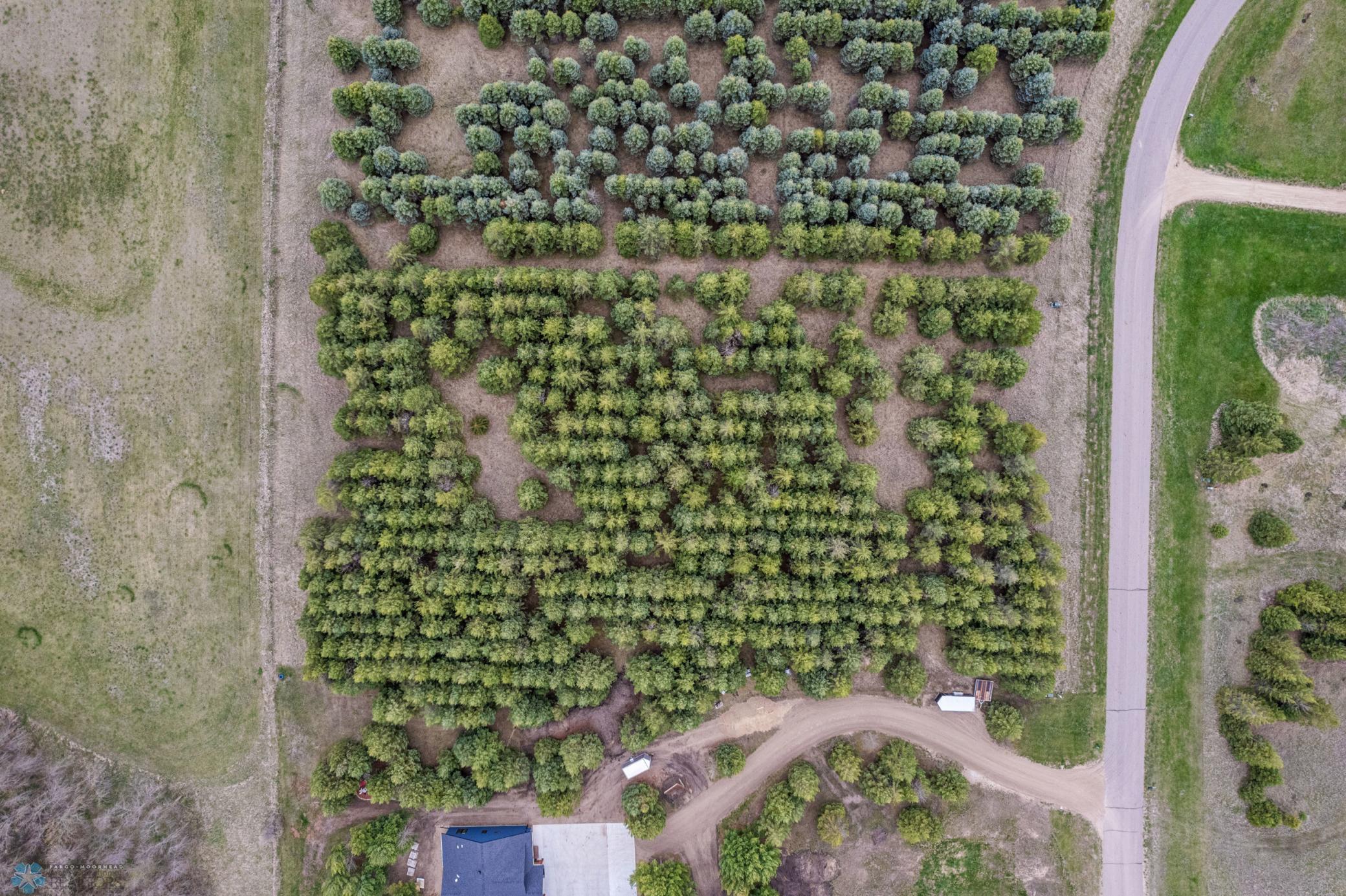 TBD Evergreen Terrace Road, Lake Park, Minnesota image 8
