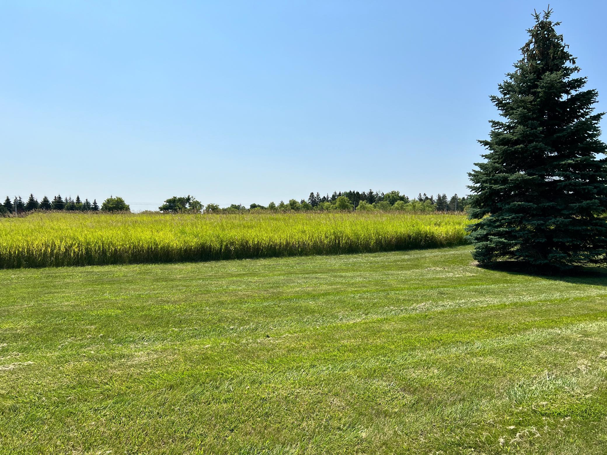 Foxfield Drive, Prior Lake, Minnesota image 1