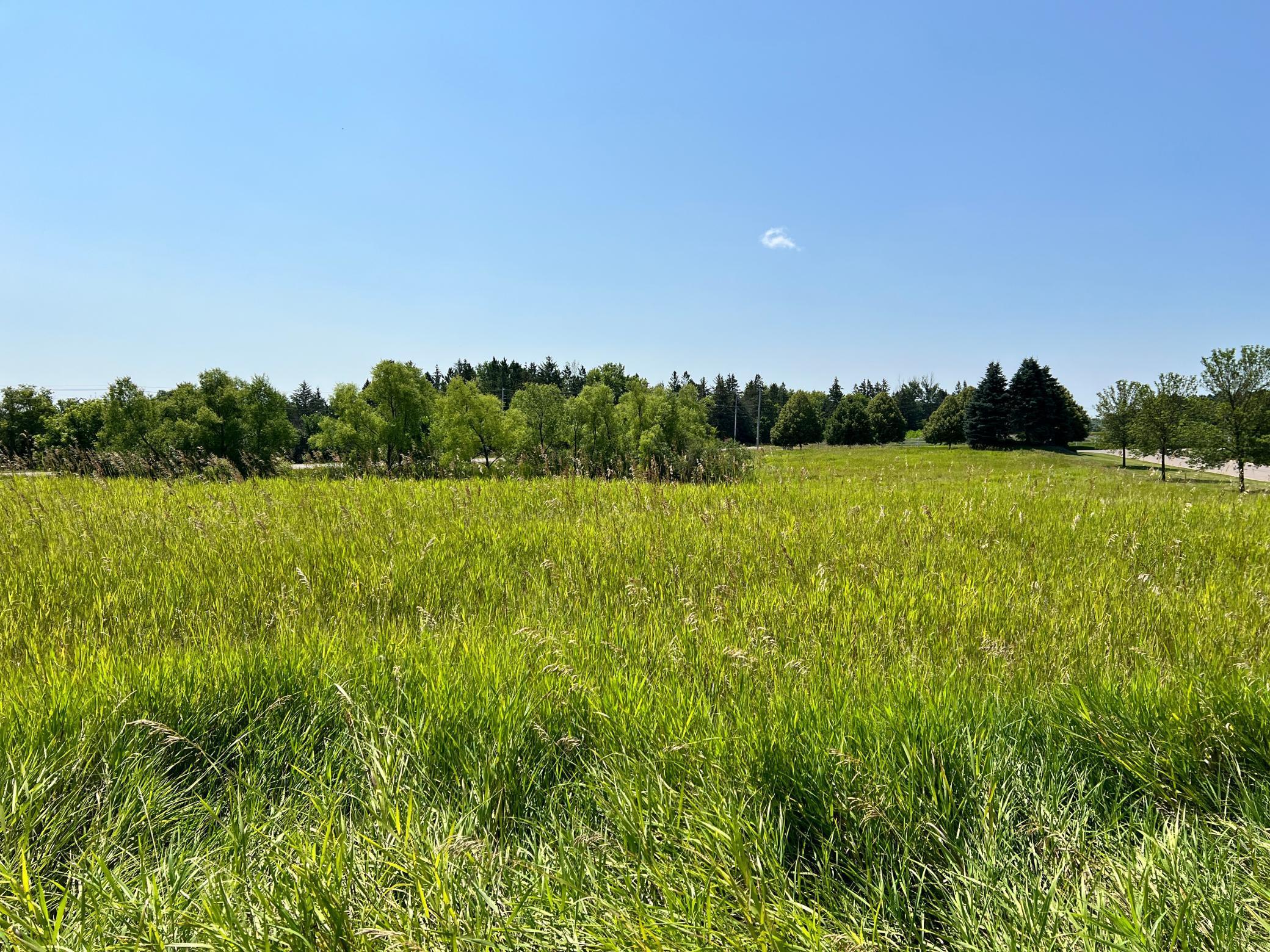 Foxfield Drive, Prior Lake, Minnesota image 2