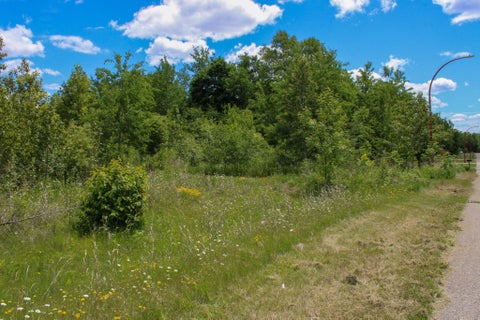Vacant Land For Sale - TBD 7th Street<br/> Itasca County, Nashwauk, MN 55769