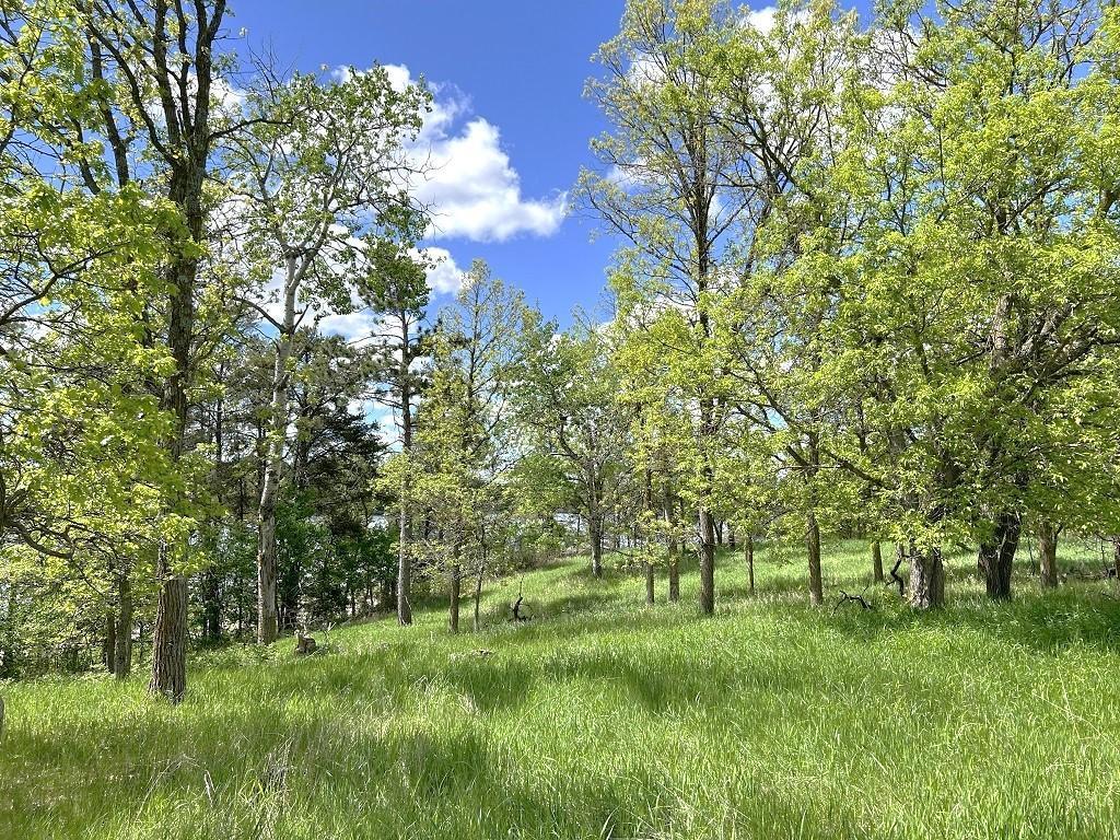 16051 Crown Point Road, Nevis, Minnesota image 19