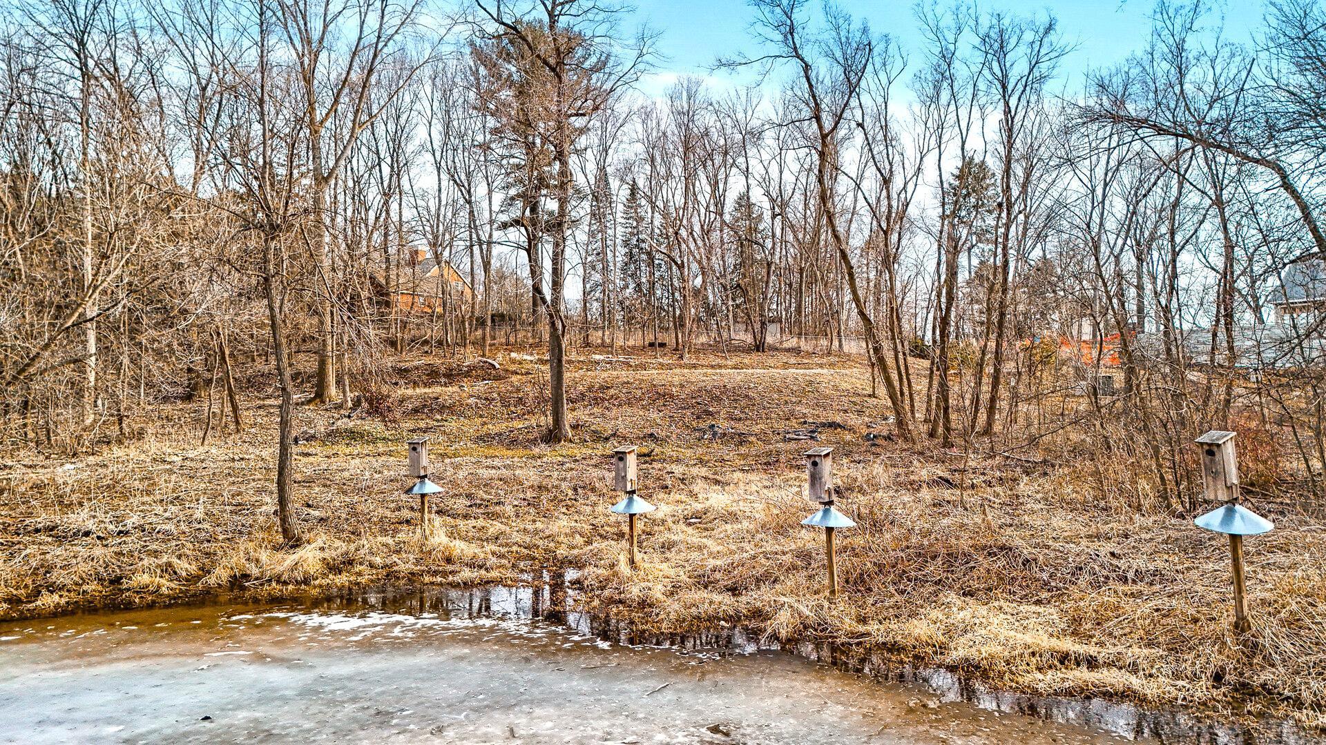 445 Bovey Road, Wayzata, Minnesota image 3