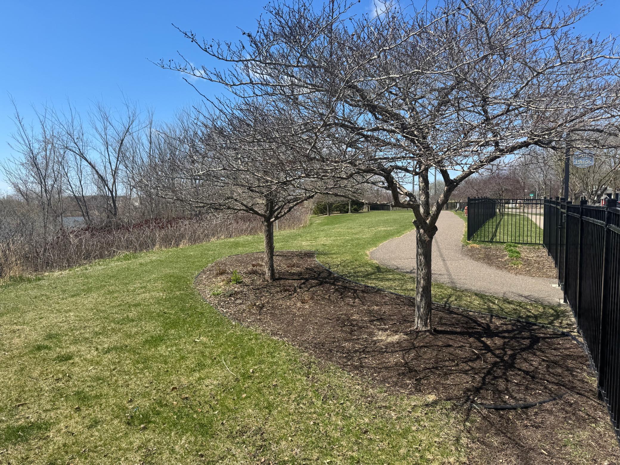 11474 W Laketowne Drive, Albertville, Minnesota image 48