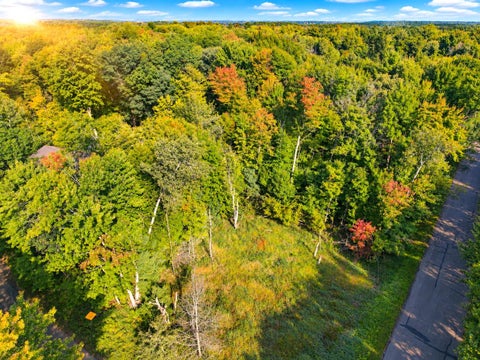 Vacant Land For Sale - LOT 1 & 2 Bluegill Avenue<br/> Webster, WI 54893