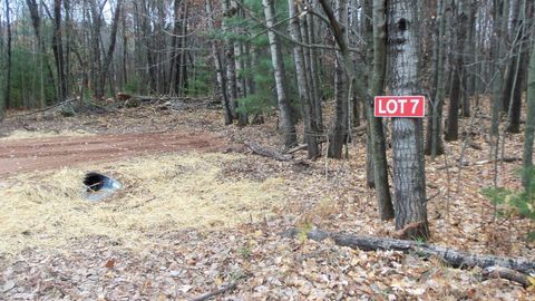 Vacant Land For Sale - LOT 7 Herman Johnson Rd<br/> Burnett County, Siren, WI 54872