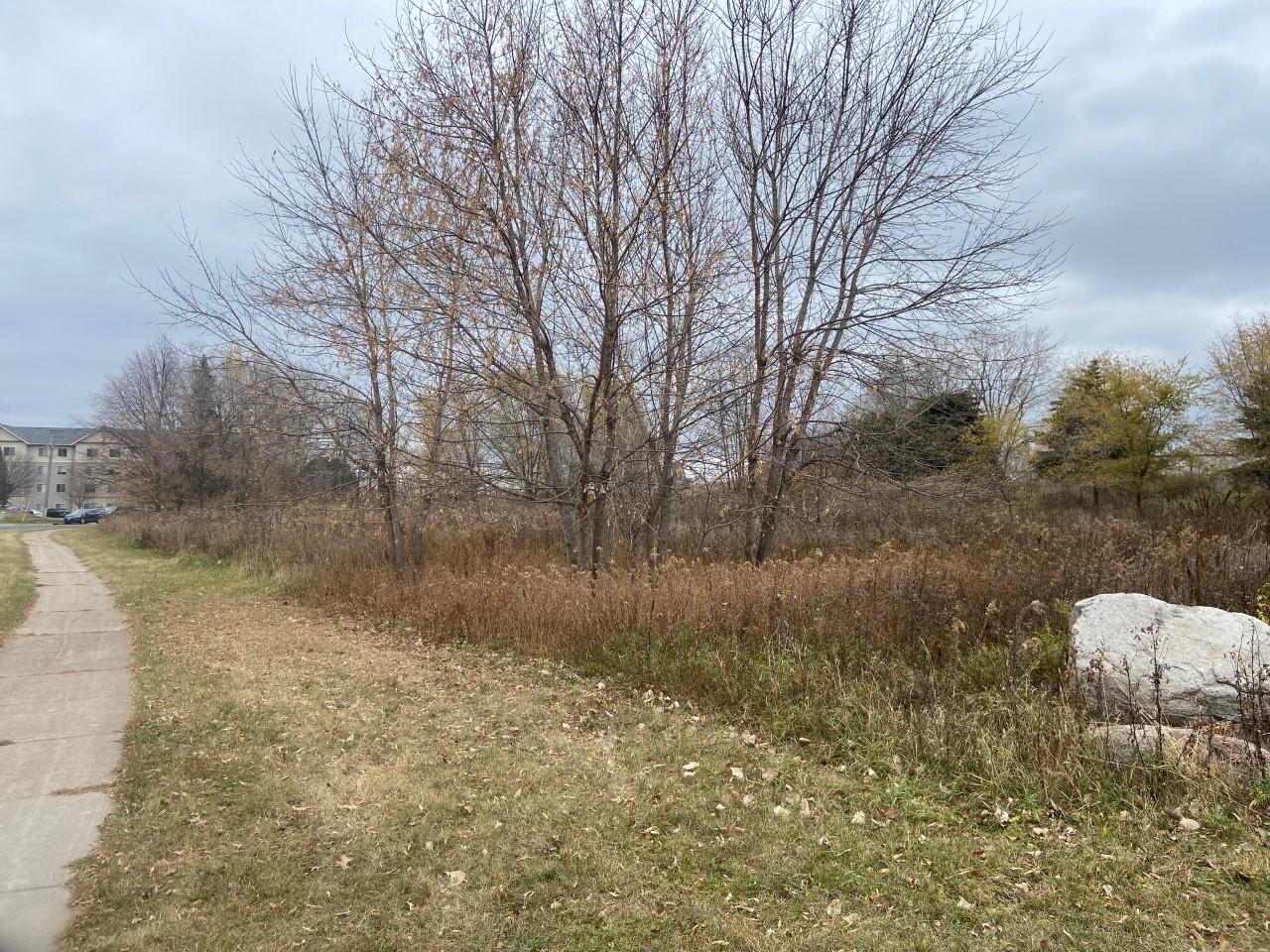 TBD 65th Street, Inver Grove Heights, Minnesota image 10