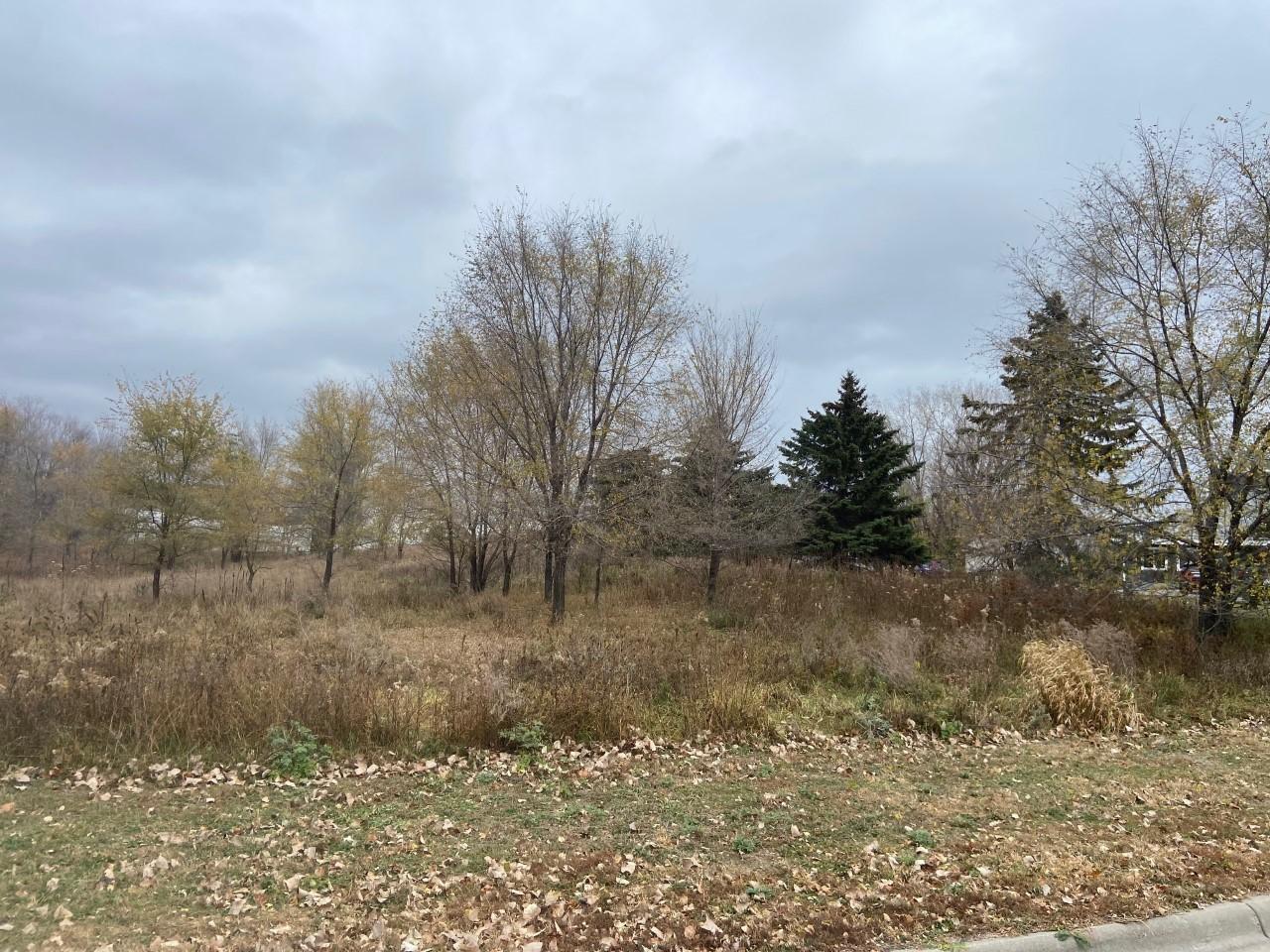 TBD 65th Street, Inver Grove Heights, Minnesota image 5