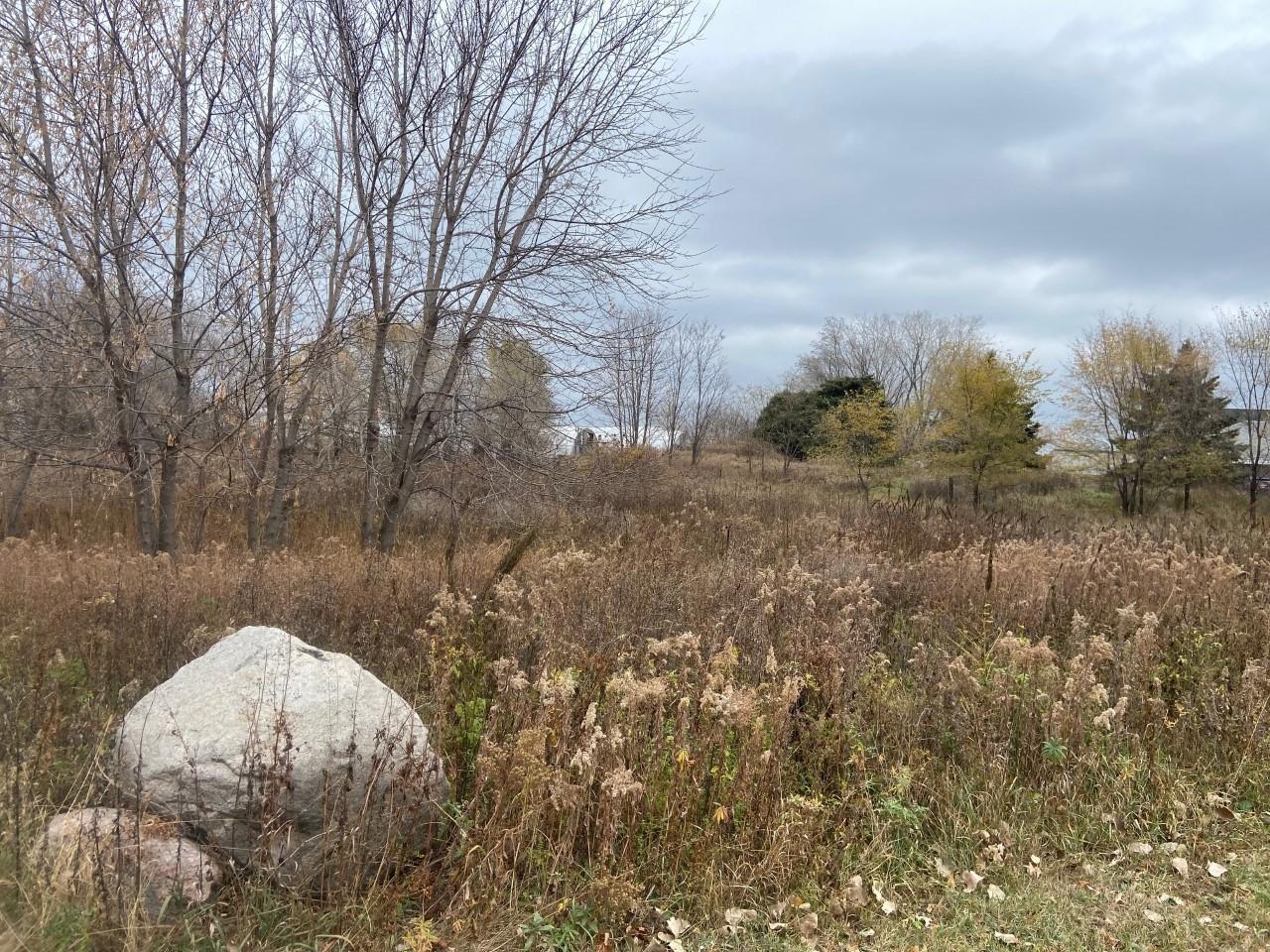 TBD 65th Street, Inver Grove Heights, Minnesota image 11